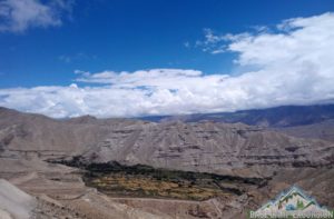 Upper mustang packages