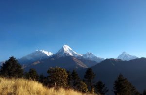 Pokhara to Ghorepani poon hill trek 5 days enjoy Poon hill trek Nepal