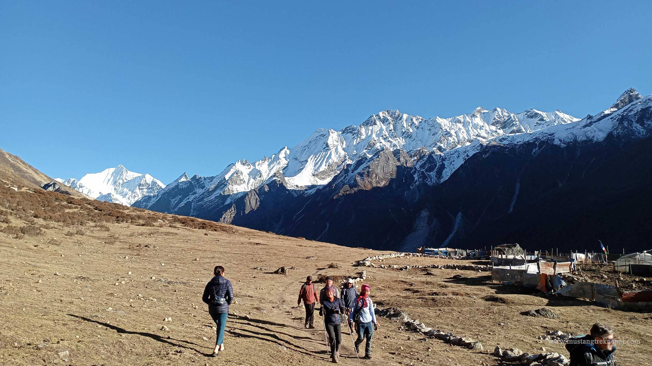 Langtang treks in Langtang trekking region Nepal