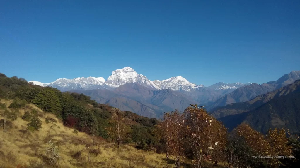 Easy Poon hill trek 4 days short Annapurna trek from Pokhara